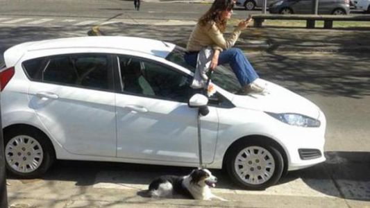 Foto: se sentó arriba del vidrio delantero de un auto mal estacionado para increpar al dueño