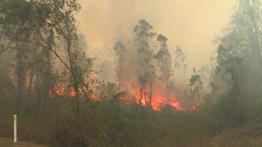 Incendios en Australia dejan muertos y más de 150 hogares destruidos
