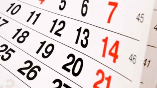 Cuándo es feriado, ¿el lunes 18 de noviembre o el miércoles 20?