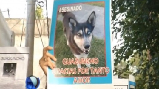 Rosario: Un hombre va a juicio por matar a "Guazuncho", un perro comunitario
