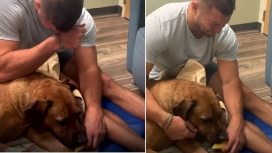 El video más triste: deportista profesional llora al darle de comer a su perro por última vez