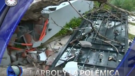 Una nena de dos años murió aplastada por un árbol en la vereda