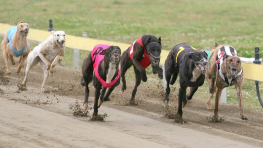 Marcha para reclamar que se prohíban las carreras de perros en todo el país