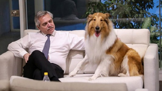 Se separaron Alberto Fernández y Dylan: "Ya está en Olivos"