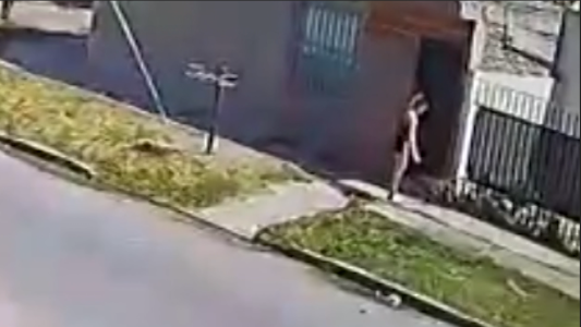 Ladrona insensible: se robó la mascota del patio de una casa