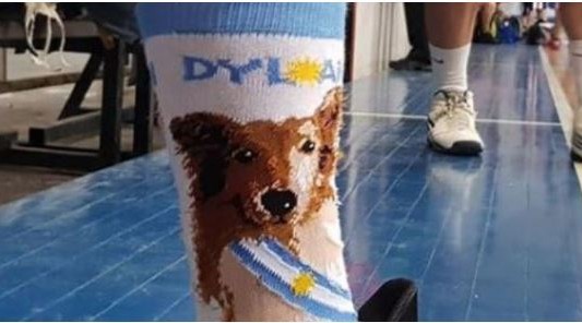Las medias de Dylan: un jugador de básquet mostró sus medias con la cara del perro presidencial