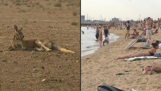 Australia registra su día más caluroso en plena ola de incendios