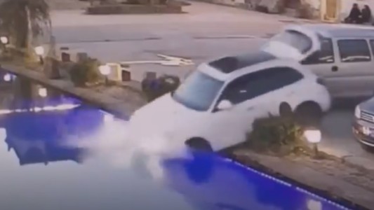 Video: perro "maneja" el auto de su dueño y lo "estaciona" en el agua