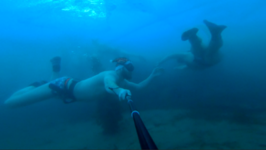 Un festejo de Año Nuevo bajo agua helada