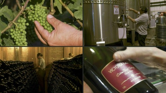 Brasil apuesta a la producción de vino espumante