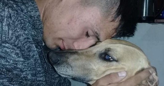 Conmovedor: ofrece un auto como recompensa para recuperar a su perro