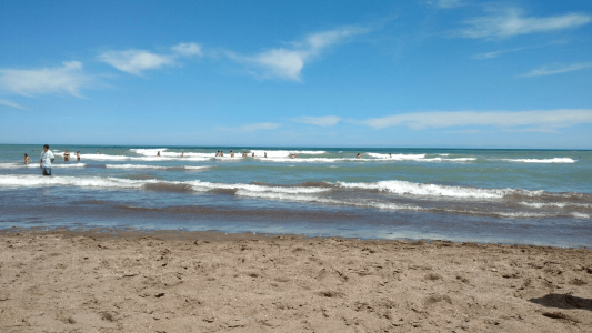 Pánico entre los turistas: aparecieron tiburones en Monte Hermoso