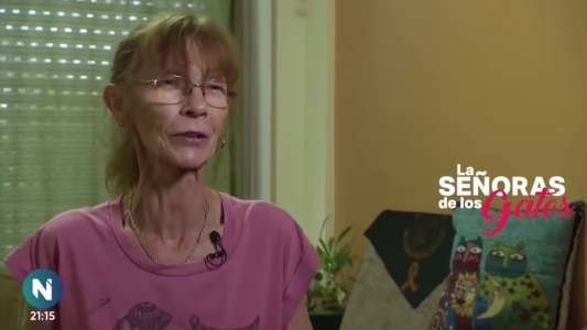 Las señoras de los gatos: la historia detrás de tres mujeres dedicadas