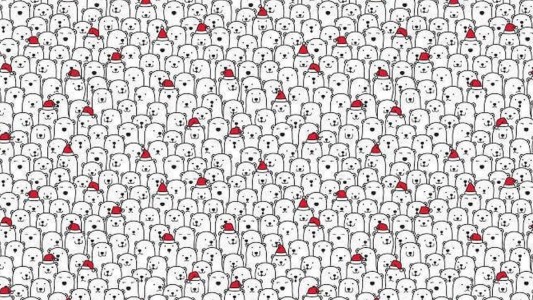 Desafío viral: hay que encontrar al perro entre los osos polares en menos de 3 minutos