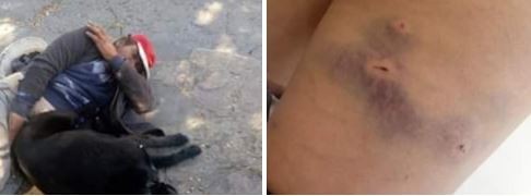 Bariloche: hartos de un violador de perros, marcharon para pedir justicia