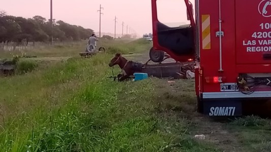 Camión chocó a un carro tirado por un caballo que circulaba por la ruta: dos muertos