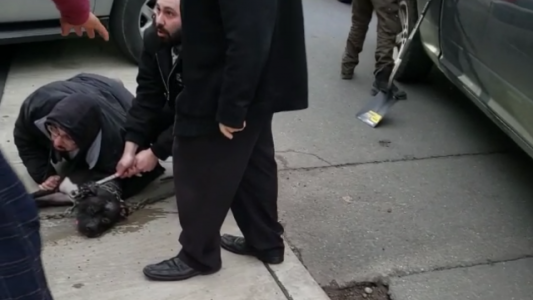 Video: el momento en que un hombre le salva la vida a un bebé del feroz ataque de un perro pitbull