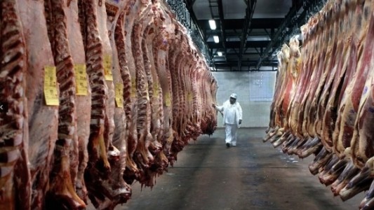 El Gobierno busca incluir a la carne en el Plan contra el Hambre