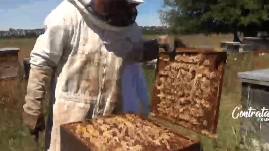 Contratado por un día: Roberto Funes Ugarte se probó como apicultor