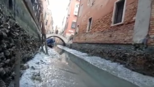 De una inundación dramática a la "sequía": Venecia, sin agua