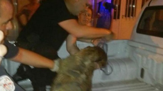Un policía héroe salvó a un perro de las llamas y lo salvó de la muerte con respiración boca a boca
