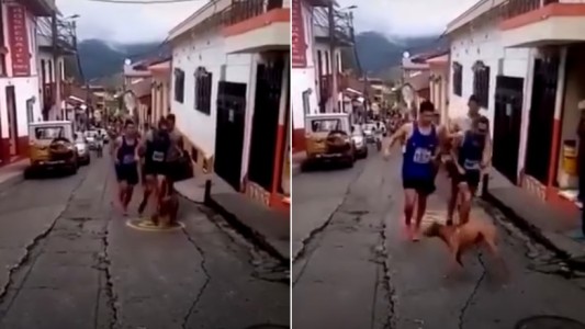 Indignación con el atleta que pateó a un perro en plena carrera