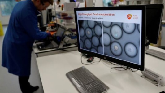 Científicos descubren las causas de la metástasis: se abren nuevas vías para curarlas