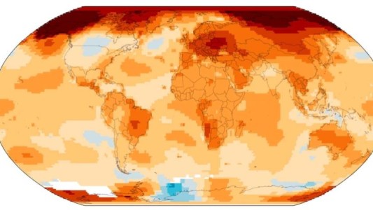 El 2019 fue el segundo año más caluroso en la historia registrada de la Tierra
