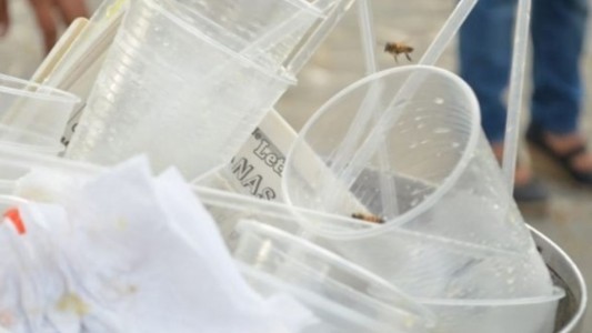 Banfield, primer club argentino en entregar vasos reutilizables en su estadio