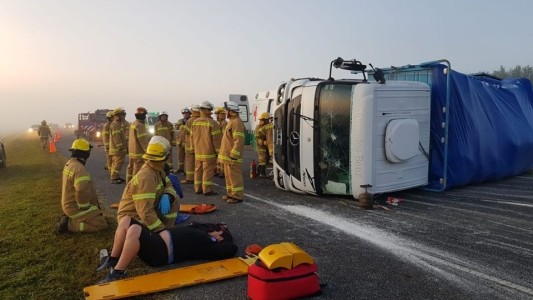 Accidente en la Ruta 2 por un toro suelto: hay heridos