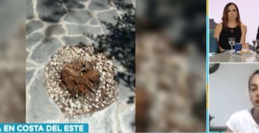 Video: Un árbol cayó sobre una familia en un paseo de compras de Costa del Este