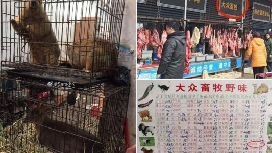 Fotos impactantes: así es el mercado chino en el que se originó el coronavirus