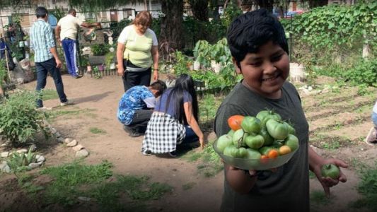 Premiaron a una escuela que limpió un baldío y lo convirtió en una huerta
