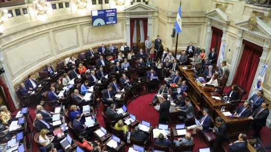 El Senado debate la renegociación de la deuda externa