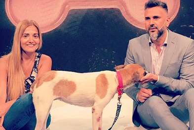 Leo Montero recibió en su programa a la perra maltratada en el tren Sarmiento y ya le buscan una familia