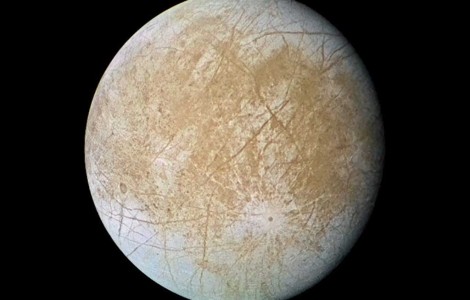 Científica asegura que hay extraterrestres en Júpiter y que serían similares a los pulpos