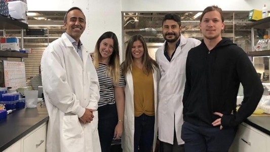 Científicos argentinos crearon un kit para diagnosticar el coronavirus