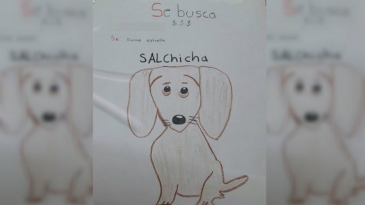 Se le perdió su perrita y como no tenía foto, hizo un dibujo