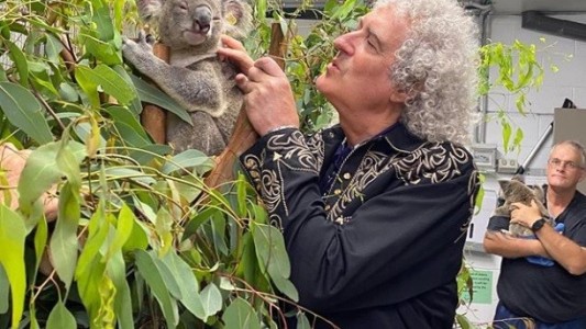 El guitarrista de “Queen” tocó para un koala rescatado de los incendios de Australia