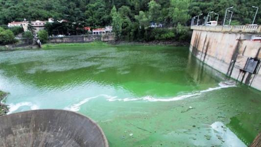 Invasión de algas en el lago San Roque: advierten que bañistas que no se metan
