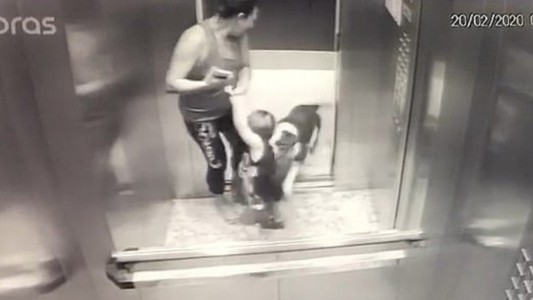 El terrible ataque de un perro bulldog a un bebé de 18 meses en un ascensor