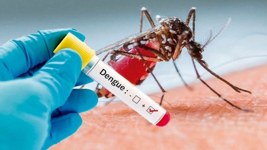 ¿Qué hacer para prevenir el dengue: recomendaciones y síntomas