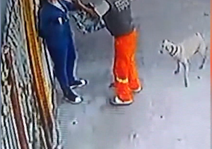 Una mujer fue asaltada por su propio vecino