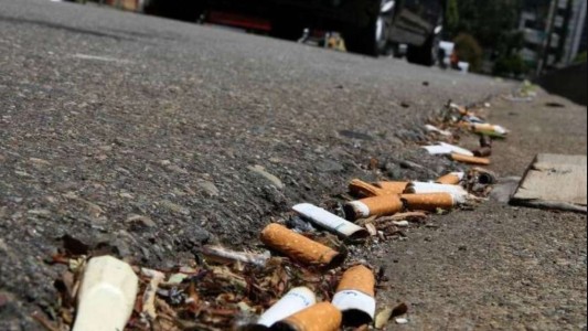 Presentaron el proyecto para multar a quienes arrojen colillas de cigarrillos en la vía pública
