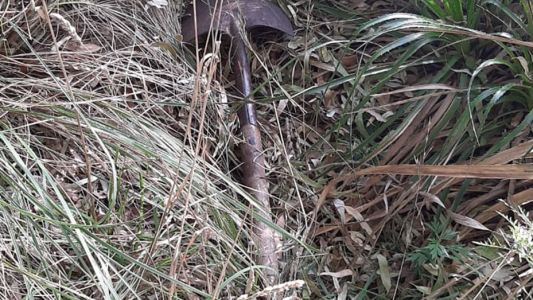 Hallaron una pala y sigue la búsqueda de la mujer desaparecida en Mar del Plata