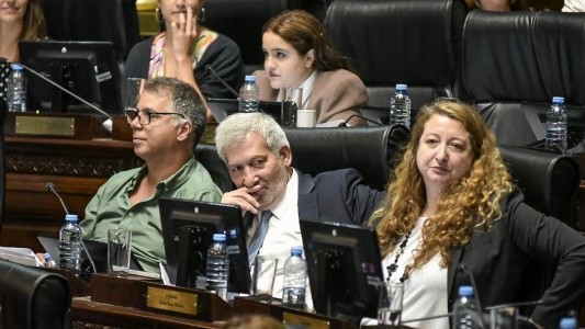 Debate en la Legislatura: aprueban el Consenso Fiscal