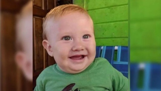 Murió un bebé de ocho meses luego de ingerir frutos de un ligustro