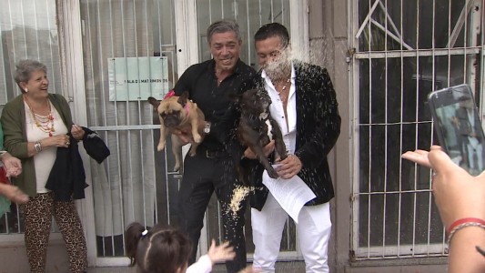 Un casamiento con perros como testigos
