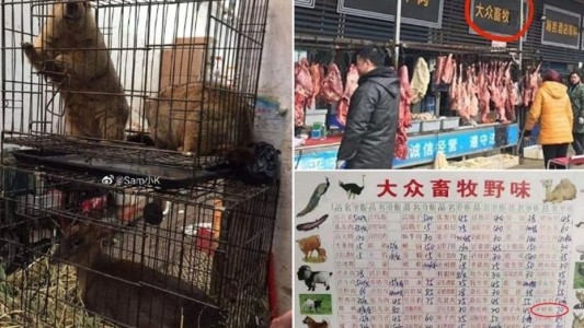 "Estados Unidos nos debe una explicación": China acusó al ejército de ese país de llevarle el coronavirus