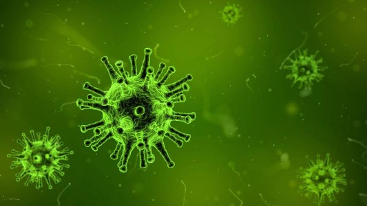 Coronavirus: investigan por qué se contagia tan rápido